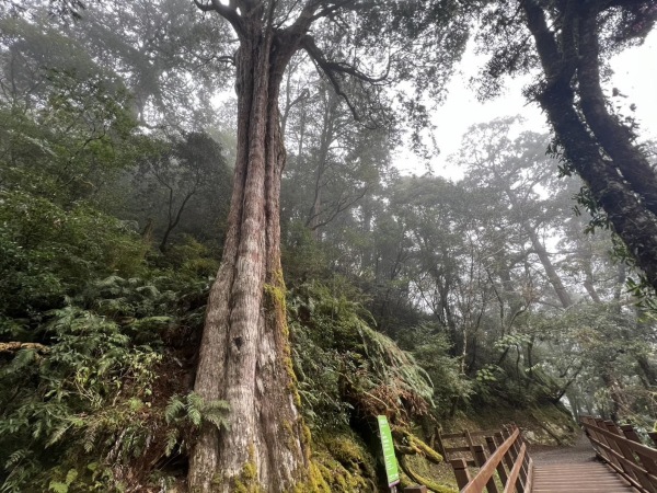 North Bay Private Car Tour - Taiwan Travel Guide image