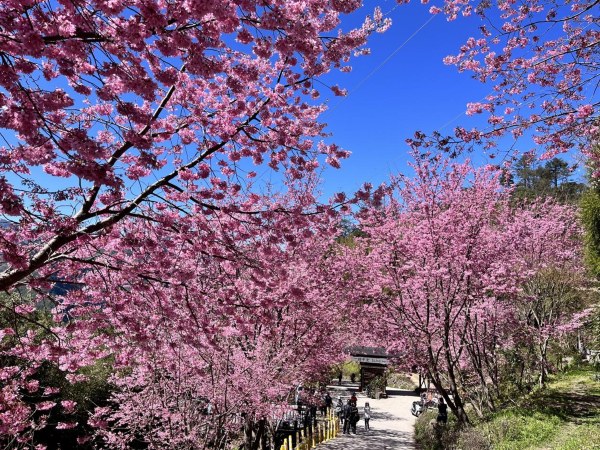 North Bay Private Car Tour - Taiwan Travel Guide image