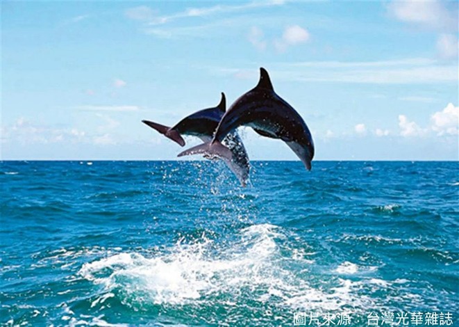 North Bay Private Car Tour - Taiwan Travel Guide image