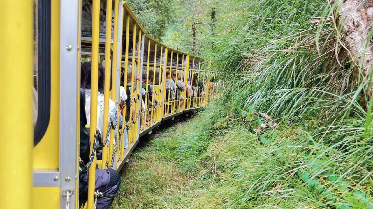 賓馳包車旅遊的台灣旅遊指南圖片